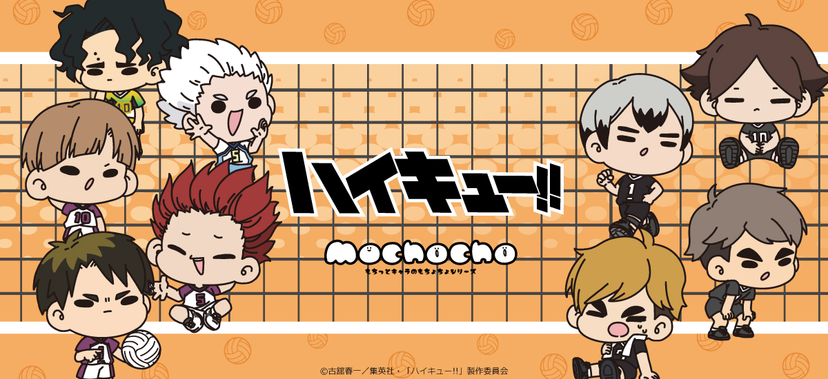 ハイキュー!!」第11弾 六角形缶バッジ(mochocho) M-EA(牛島若利)【予約
